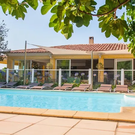 Palmier Appartement De Vacances 3 Chambres Piscine Commune Chauffee-2