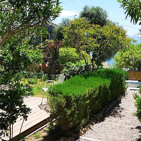 Les jardins de Porto Pollo-2