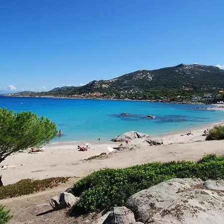 L'Orangeraie Calvi Centre A 300M De La Plage Et Du Port Parking Prive-2