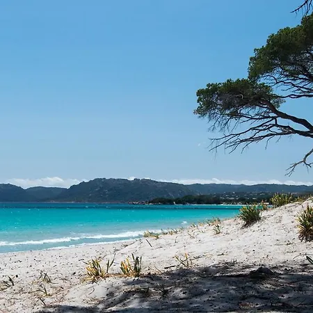 Bel Appartement T2 en Résidence avec piscine - Cala Rossa - Les Jardins d’Alzetu-3