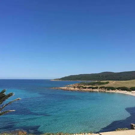 Ajaccio Magnifique T2 Neuf 40M2 Avec Balcon Au Trottel 4 Couchages Wifi Clim Parking Plage A Pieds 100M-3
