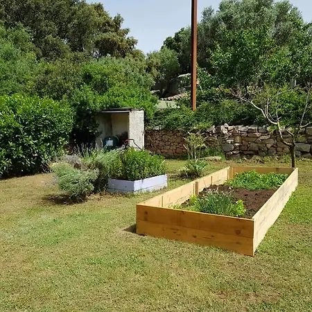 Orasi Sartène Gîte Casa Fiurita-3