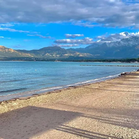 Appartement 2 Pieces A Calvi, Proche Plage, Parking Inclus - Fr-1-63-284-2