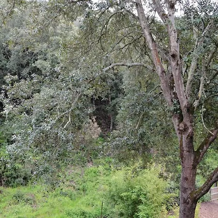 Holiday Home Sagone Xlvii-2