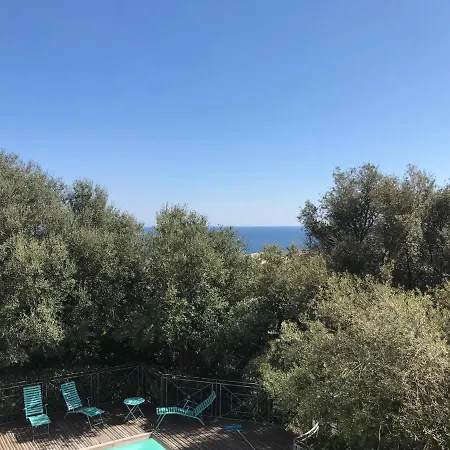 La Chambre De Toutou-2