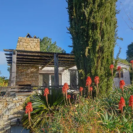 Lovely Home In Porticcio With Wifi-3