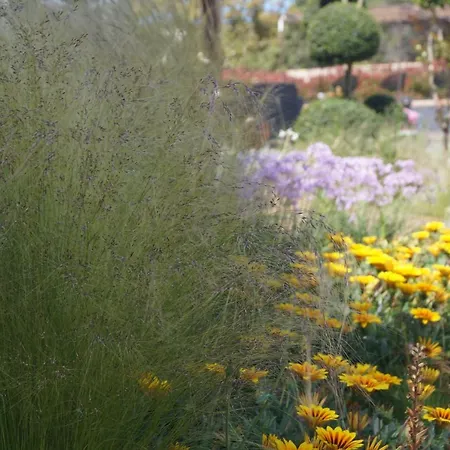 Les Jardins De Santa Giulia - Charmante Chambre Dhte 2-3