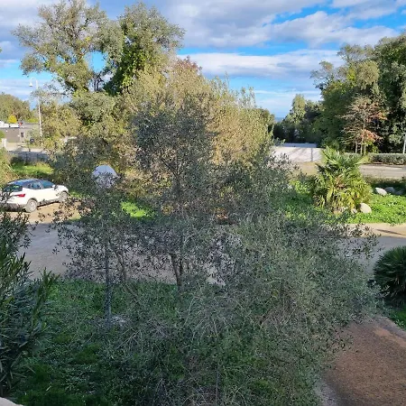 Appartement T2 dans résidence avec piscine-3