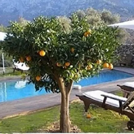 Luxury 270M² House Of Character In Old Stones With Heated Pool, Near Calvi-3