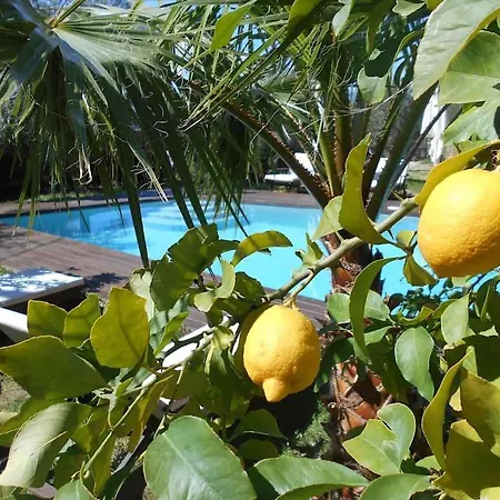 Luxury 270M² House Of Character In Old Stones With Heated Pool, Near Calvi-2