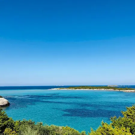 Location Villa 2 Chambres U Alivu Piscine Bonifacio-3