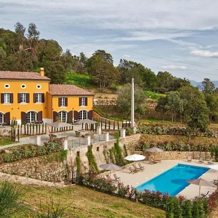 Appartement 3 Pieces Avec Piscine Et Climatisation A Ajaccio - Fr-1-61-535-2