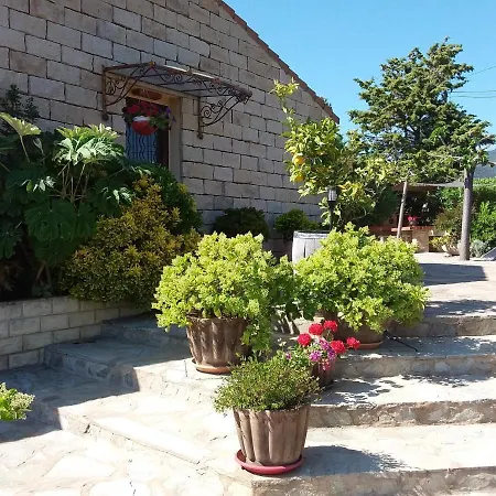 Magnifique villa piscine Propriano-2