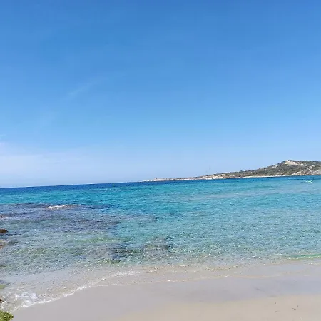 Studio Fraichement Renove A Deux Pas De La Plage De Calvi-3