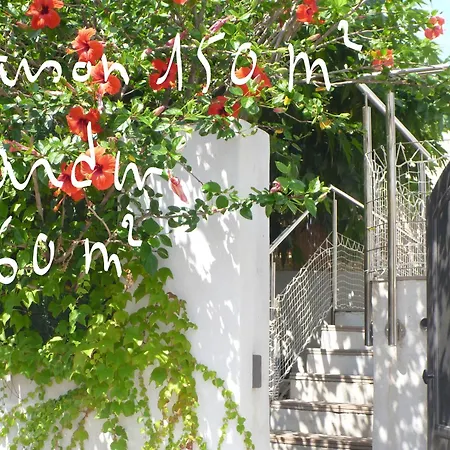 Les Galets Bleus De Calvi-3