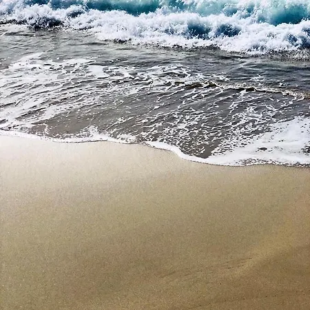 Palm Beach-3