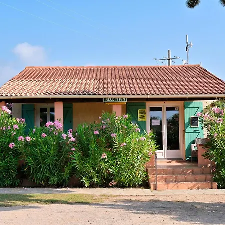 Pinea Mare-2