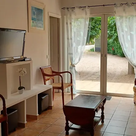 Carestella-2
