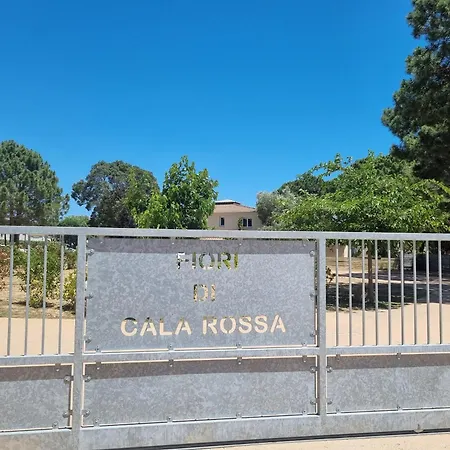 Fiori Di Cala Rossa Très beau studio au sein d'une résidence hôtelière avec piscine et plage Cala Rossa à 600m-2