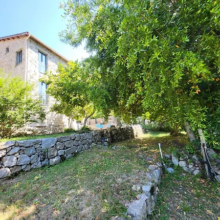 A Bella Scusa-3