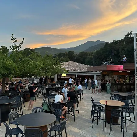 Domaine de Murticcia  La distillerie-3