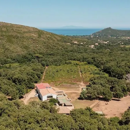 Domaine de Murticcia  La distillerie-2