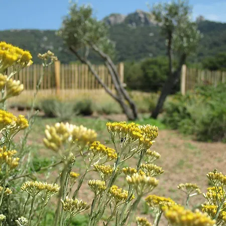 Clos Simoni-3