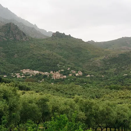 Domaine Acciola-2