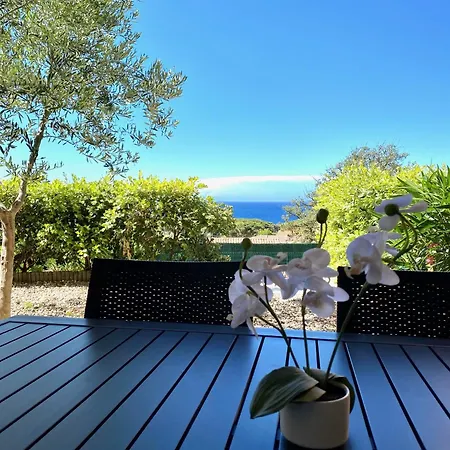 Calvi Appart Hotel-2