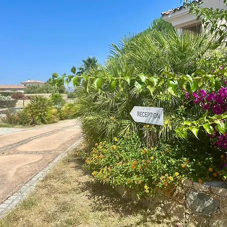 Manureva Calvi-2