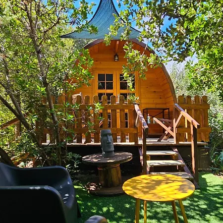 Ma Cabane Au Fond Du Jardin-3