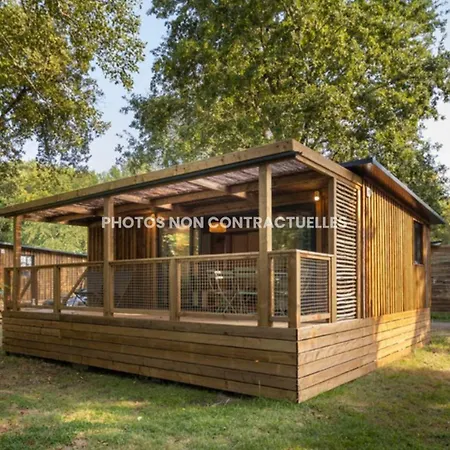 Camping Vigna Maggiore-2