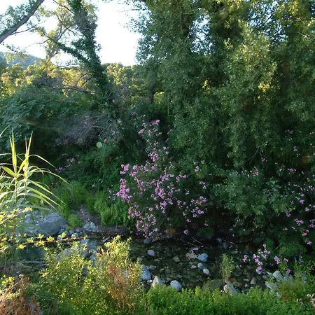 Casa-Albina-Corsica-2