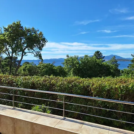 Camélia Plein Soleil Bord de Plage-2