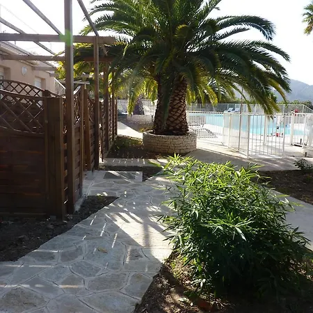 Adonis Saint Florent-2