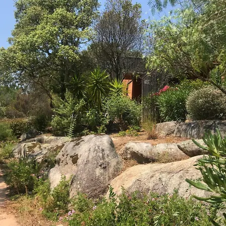 Porto-Vecchio Baie Santa Giulia Appartement Une Chambre 4-5 Personnes-2