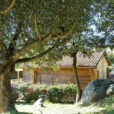 Magnifique chalet vue mer, a quelques minutes des plages-3