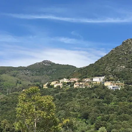 Charmant T2 Hauteurs De Bastia-3