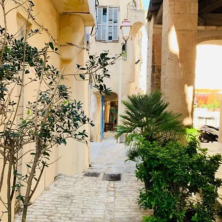 Location Villa 3 Chambres U Pinu Piscine Bonifacio-2