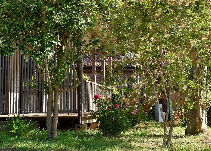 Hotel economici a Corsica
