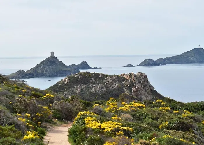 Huisdiervriedelijke Ajaccio Splendide Vue Mer