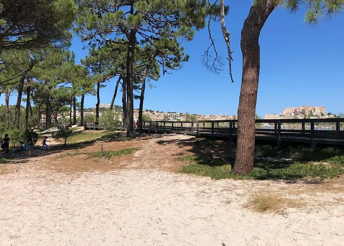 Pet friendly Duplex Renove Les Pieds Dans L'Eau Apartment Calvi 