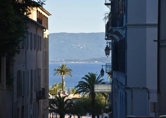 Huisdiervriedelijke Appartement Plein De Charme - Ajaccio Hyper Centre