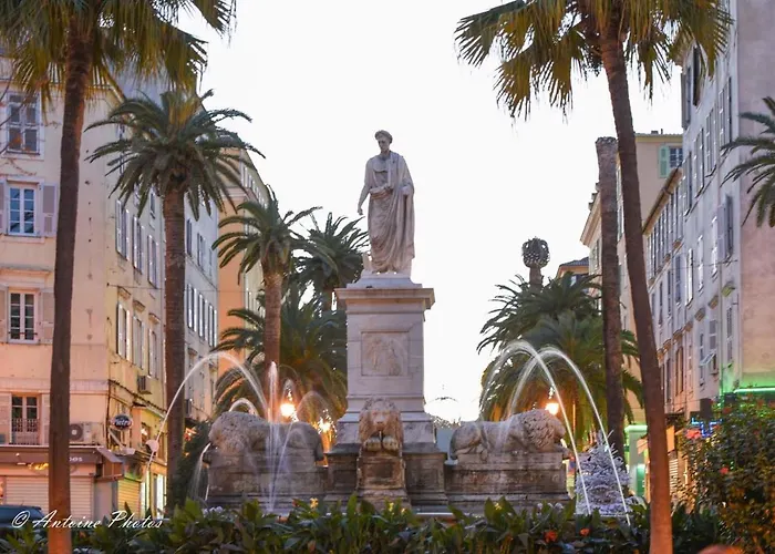 Huisdiervriedelijke Studio Centre Ville Ajaccio 