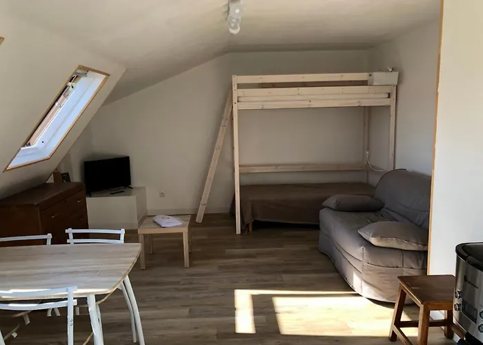 Le Petit Napoleon - Au Coeur De La Cite Imperiale Appartement Ajaccio 