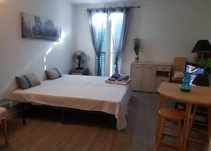 Huisdiervriedelijke Ajaccio Centre Vieille Ville Imperiale Tt Confort Ttes Commodites 3 A 4 Pers Cathedrale A 300M Mer Port Marche Local Plages