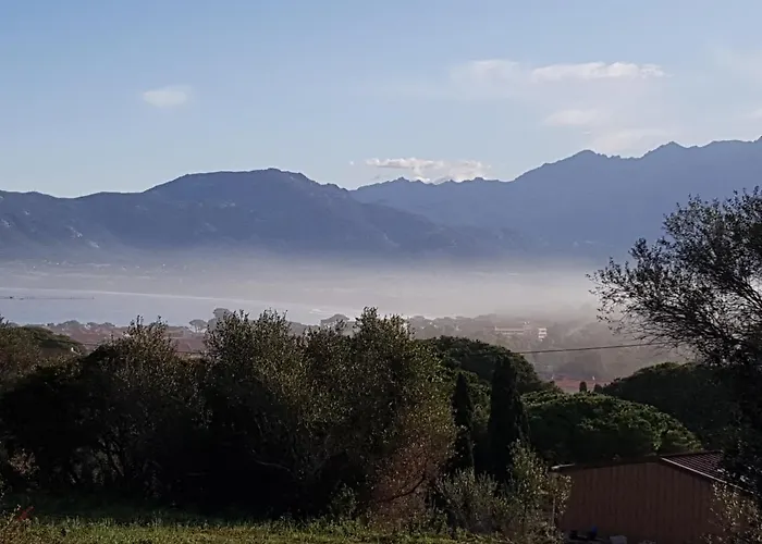 Clos San Michele 2023 - La Tonnelle Calvi 