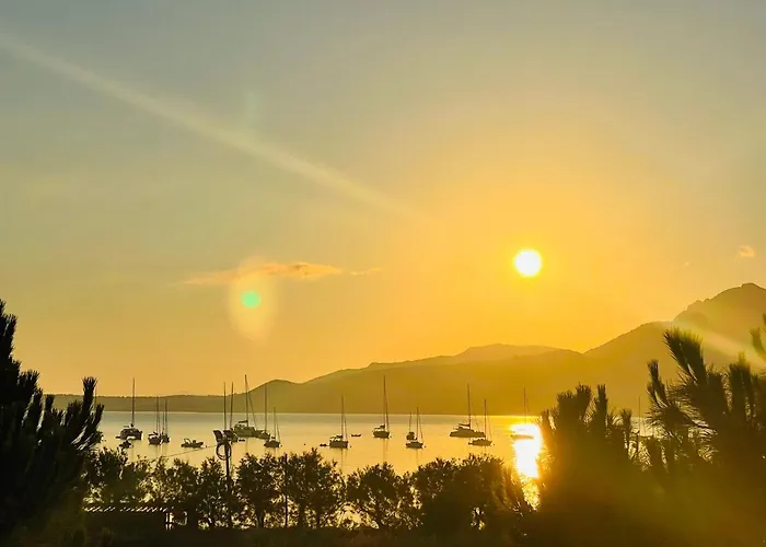 Calvaro - Appartement classé 5 étoiles - vue mer Calvi  che accetta animali