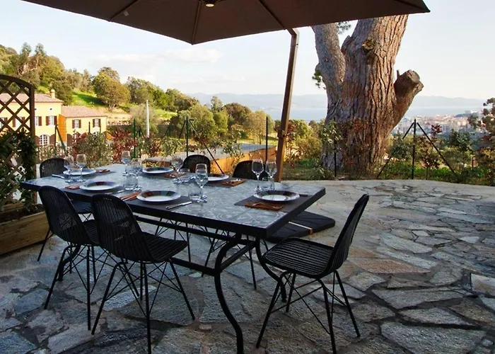 Appartement 3 Pieces Avec Piscine Et Climatisation A Ajaccio - Fr-1-61-535 che accetta animali