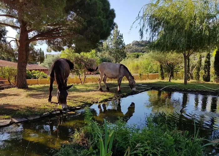 Le Pailler 2P Et 3 Enfants Sous Le Tipi Villa Calvi 